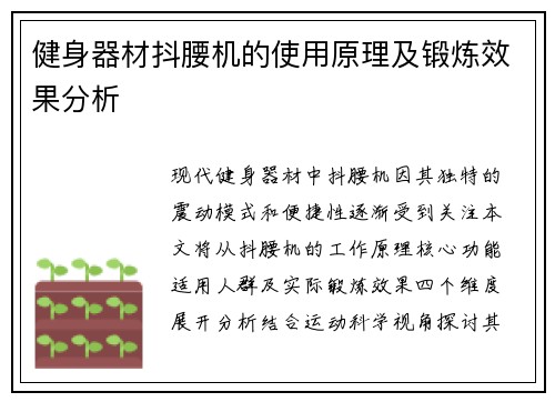 健身器材抖腰机的使用原理及锻炼效果分析