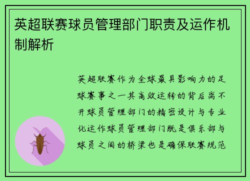 英超联赛球员管理部门职责及运作机制解析